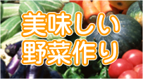 美味しい野菜作り