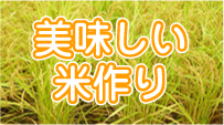 美味しい米作り