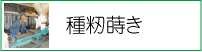 種籾蒔き