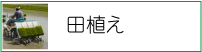 田植え