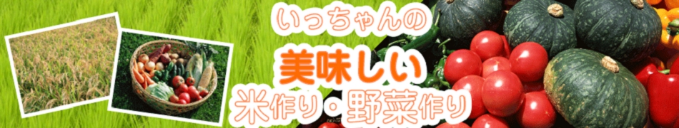 いっちゃんの美味しい米作り野菜作り