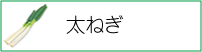 太ねぎ