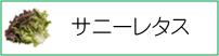 サニーレタス