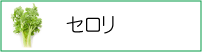 セロリ