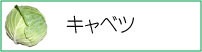 キャベツ