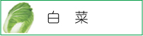 白菜