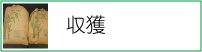 収獲
