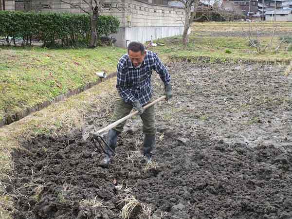 田おこし